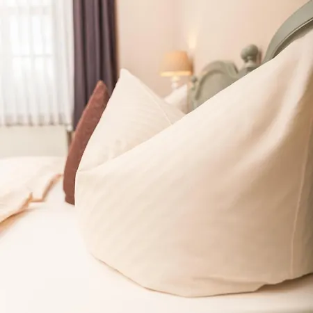 Altstadt-hotel 3* Freiberg