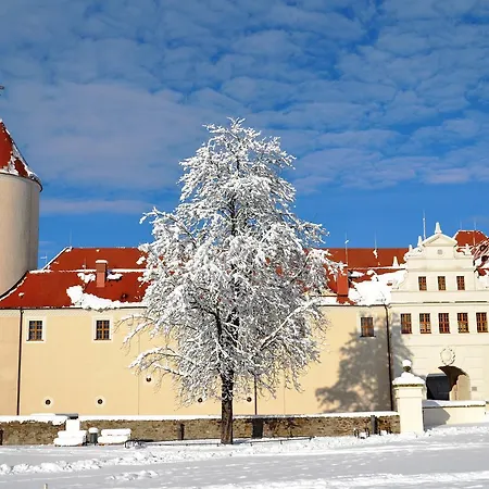 Altstadt-hotel Hotel